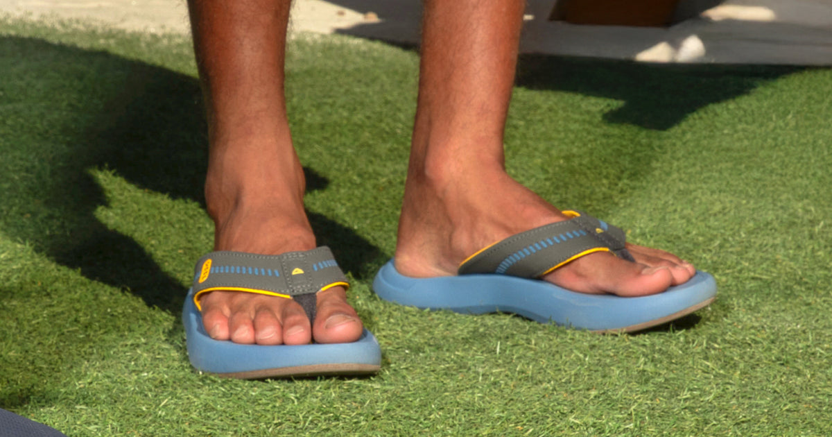 The Cruiser Collection – REEF