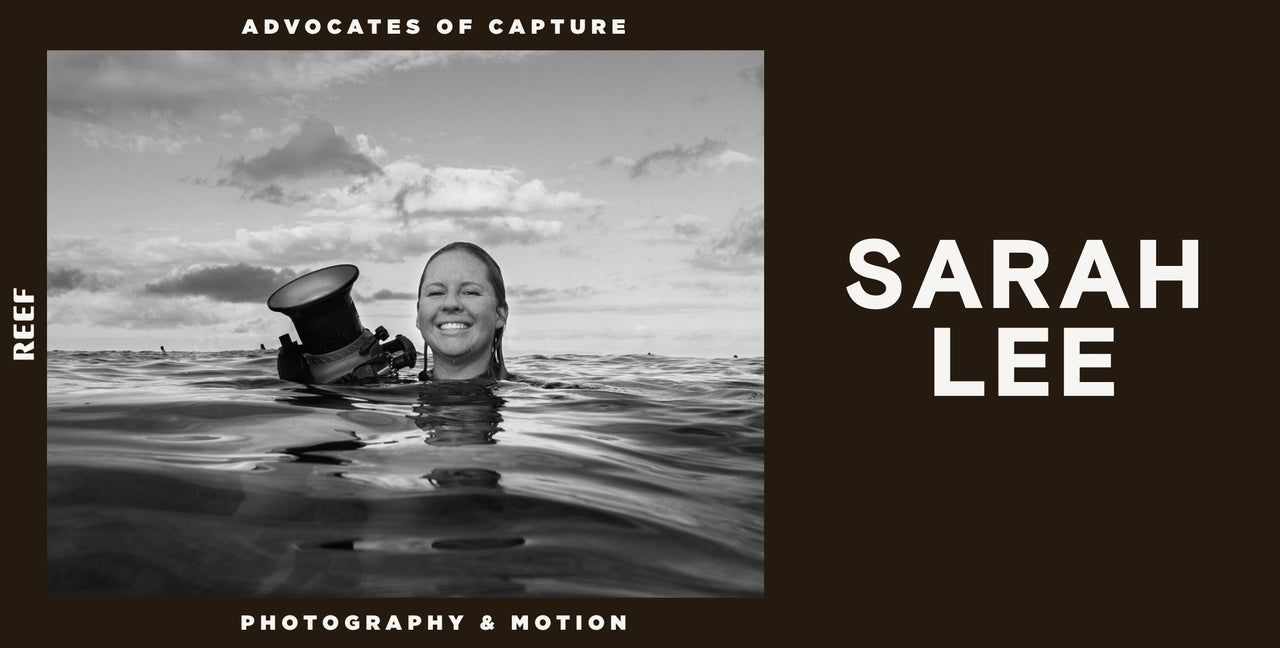 AOC Spotlight: Sarah Lee
