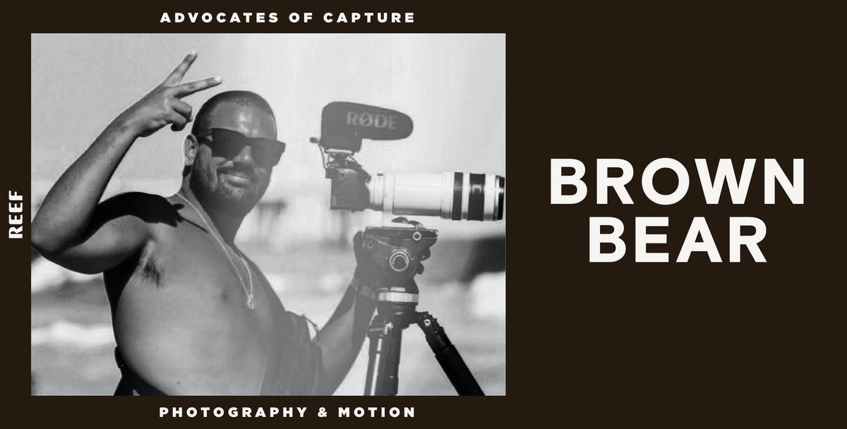 AOC Spotlight: Brown Bear