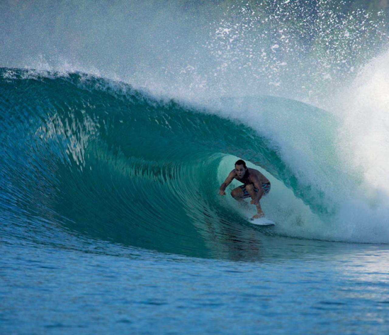 Taylor Knox | Carlsbad, CA