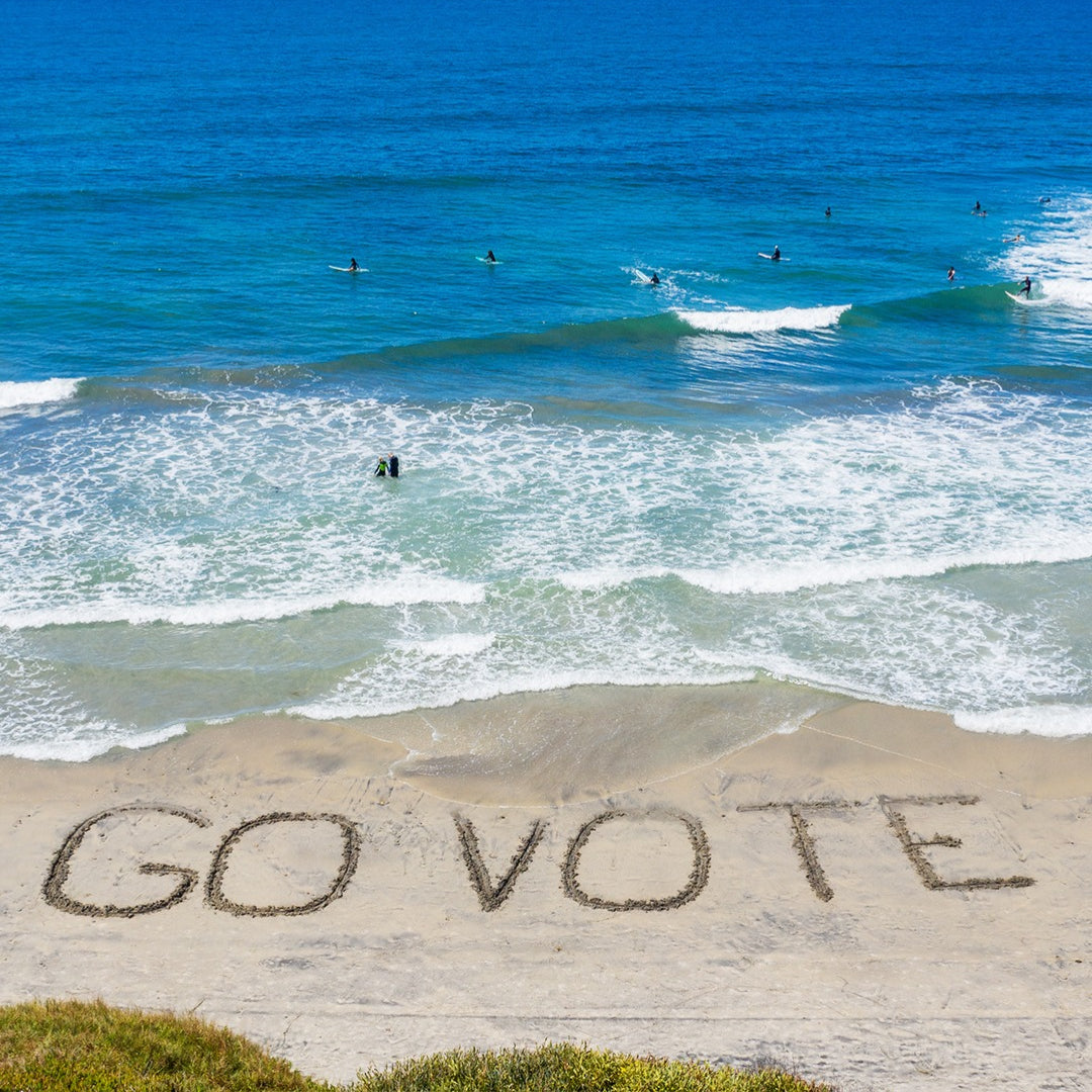 VOTE 2020