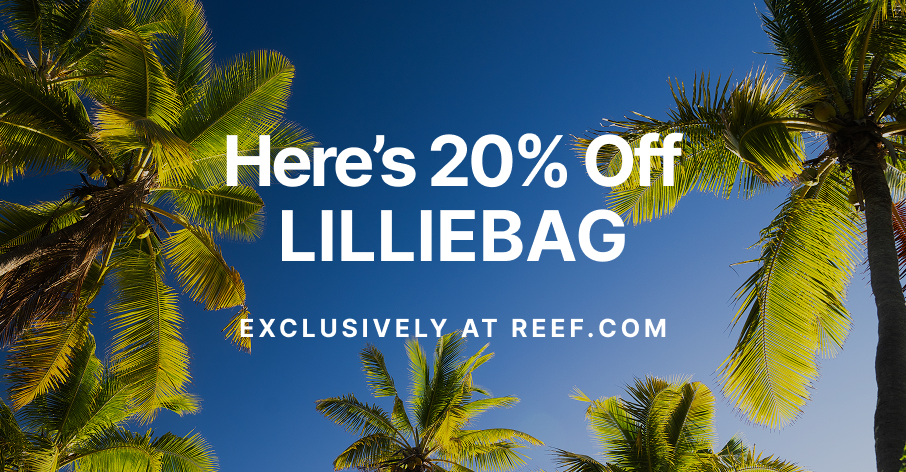 LAUREN X REEF