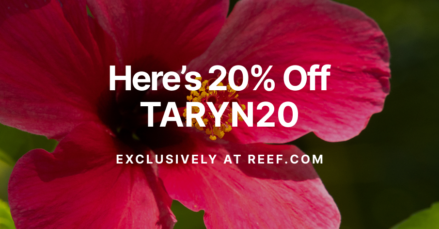 TARYN X REEF