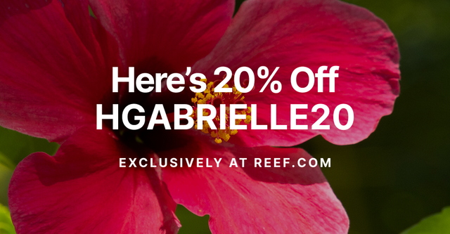 HOLLEY X REEF
