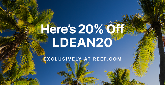 LINDSAY X REEF