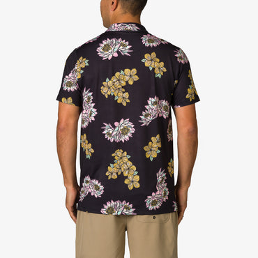 Wesland Polo view 3
