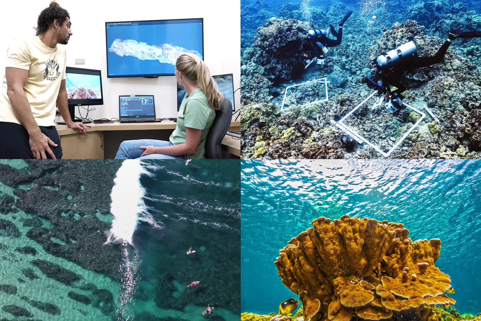 Collage of oceanographic research, close up image of a reef, underwater divers collection research and a breaking wave.