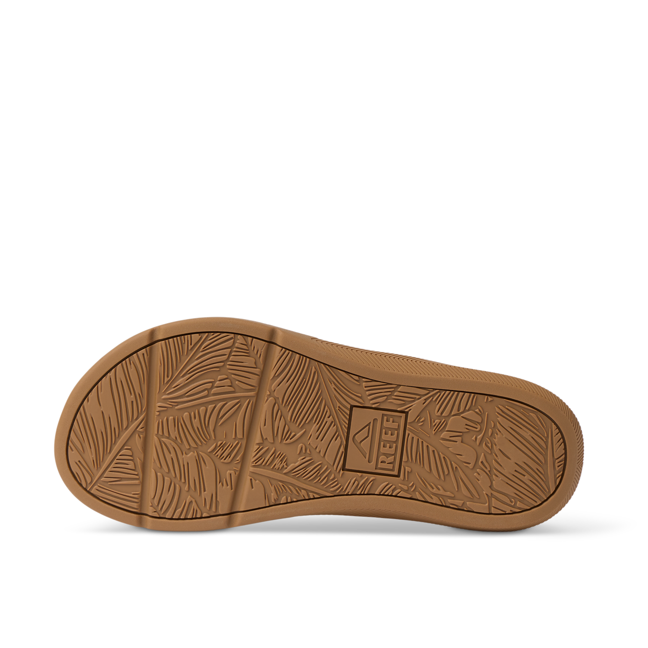 Santa Ana - Cloud - Underside View