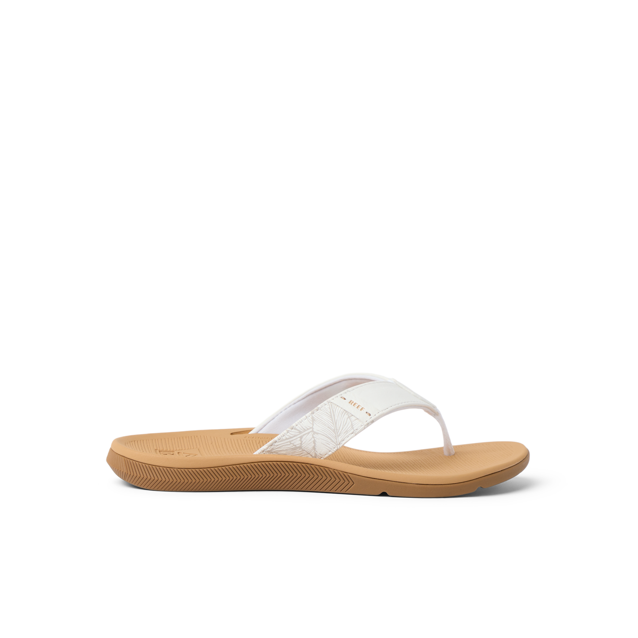 Santa Ana - Cloud - Right Side View