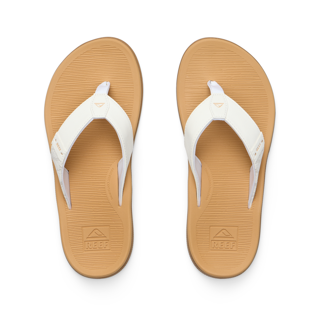 Santa Ana - Cloud - Top View