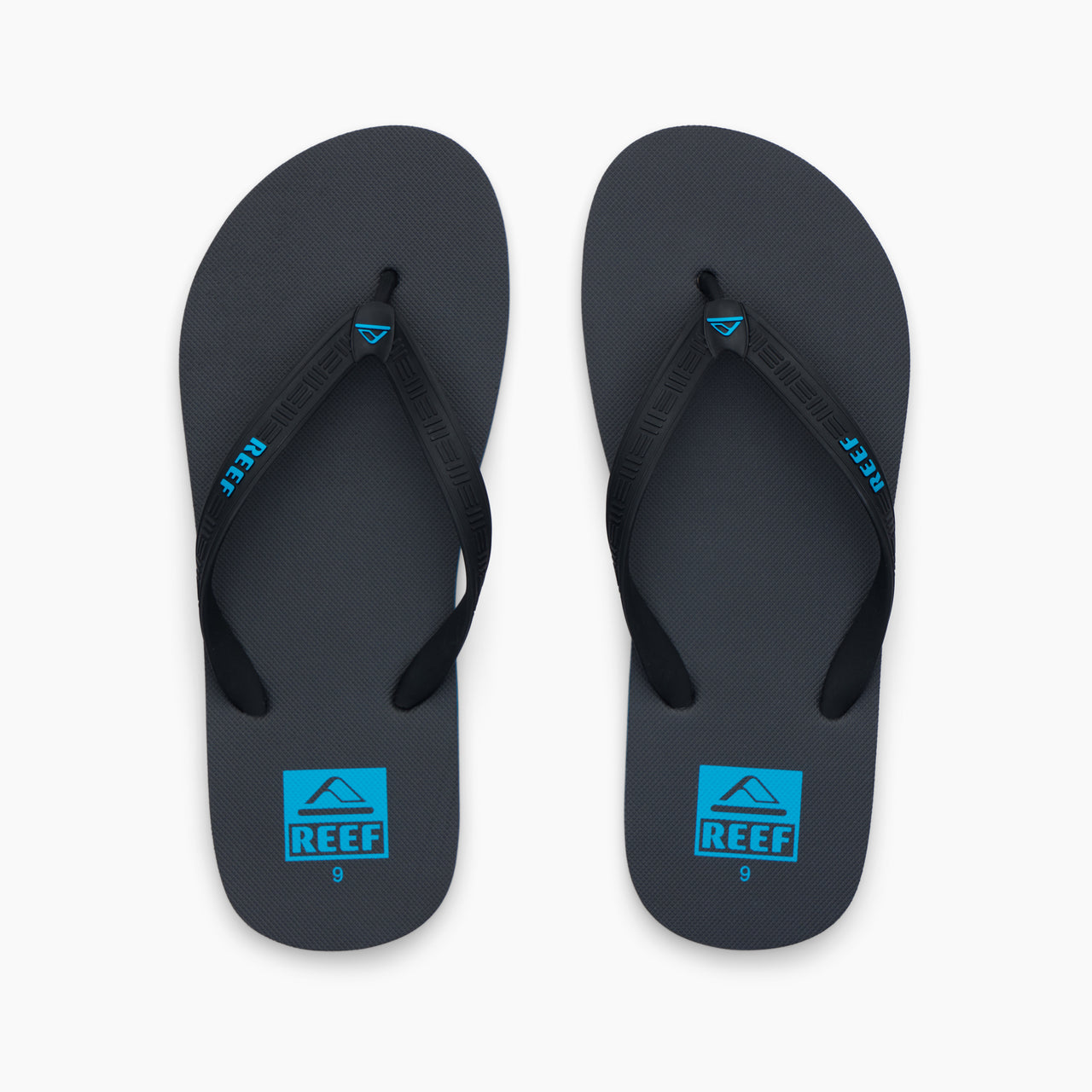 Reef Seaside - Hawaiian Blue - Top View