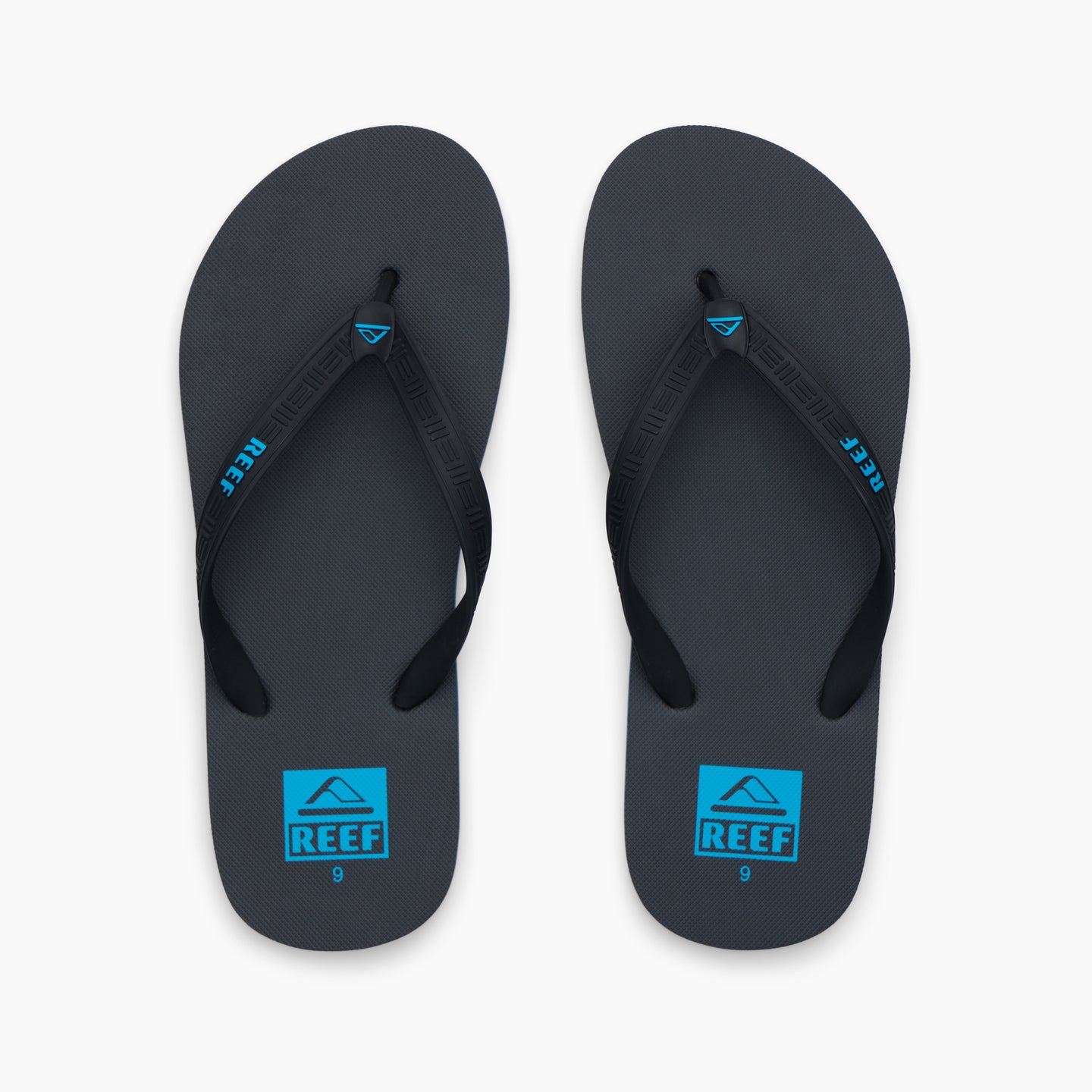 Reef Seaside - Hawaiian Blue - Top View