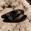 Cruiser - Brown/Tan