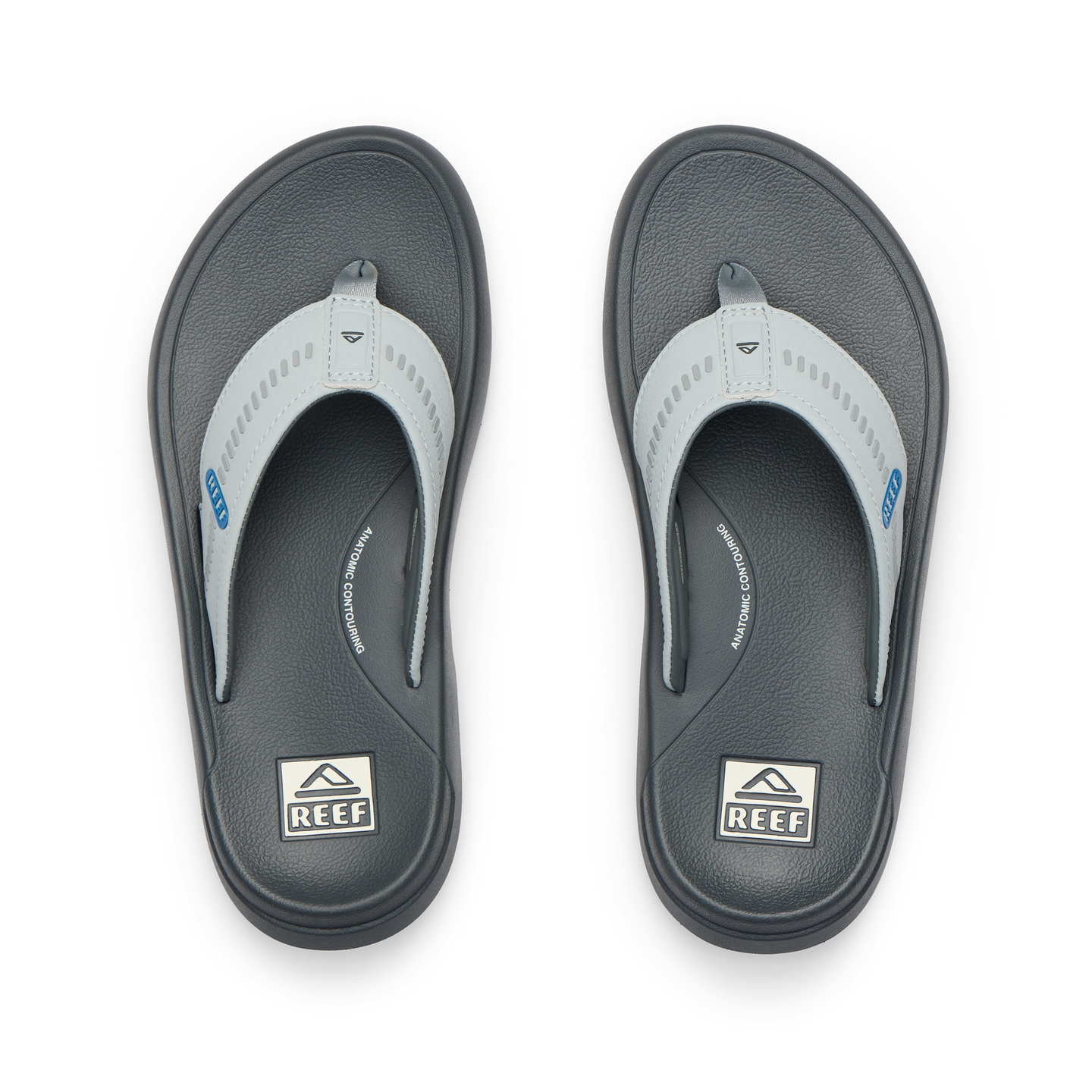 Cruiser - Grey/Light Grey/Blue - Top View