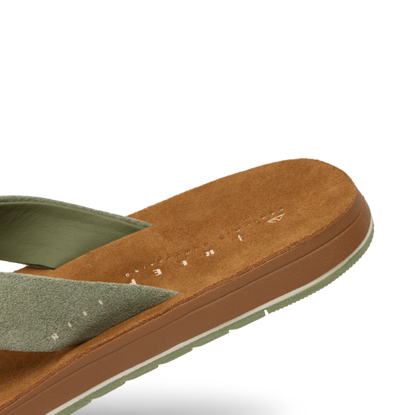 Ojai Classic - Faded Olive - Down the Line 2 View