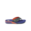 Fanning - Volcanic Ash - Top View