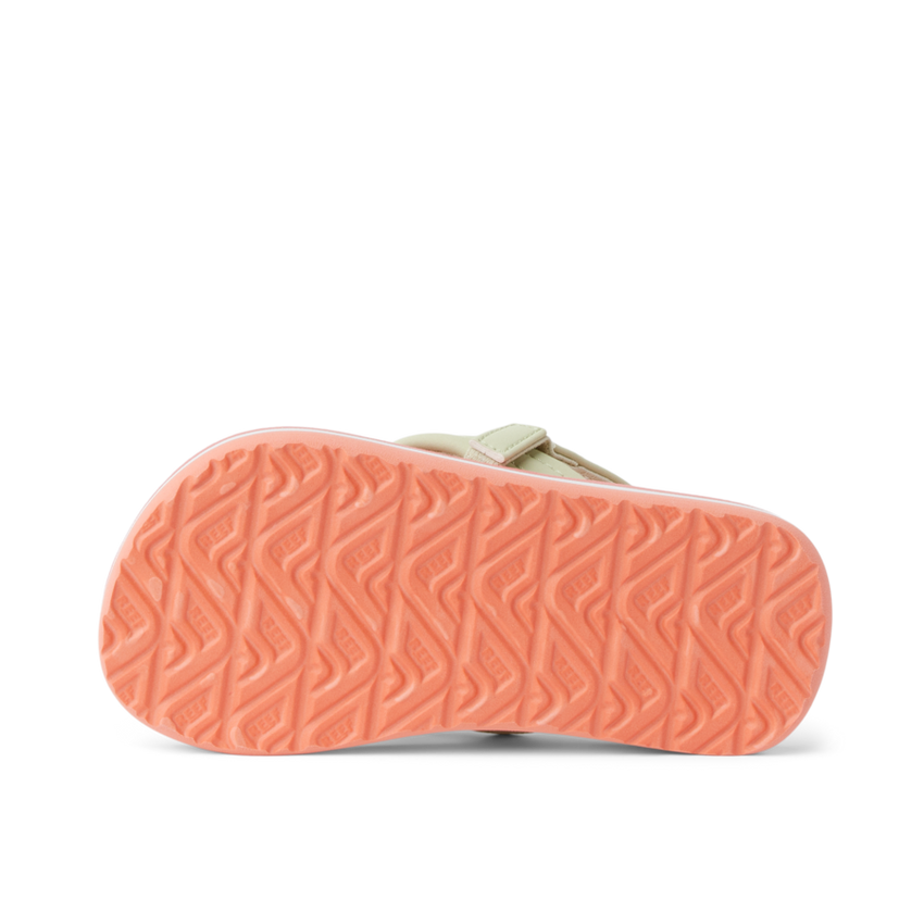 Little Ahi - Citrus Fruit - Underside View