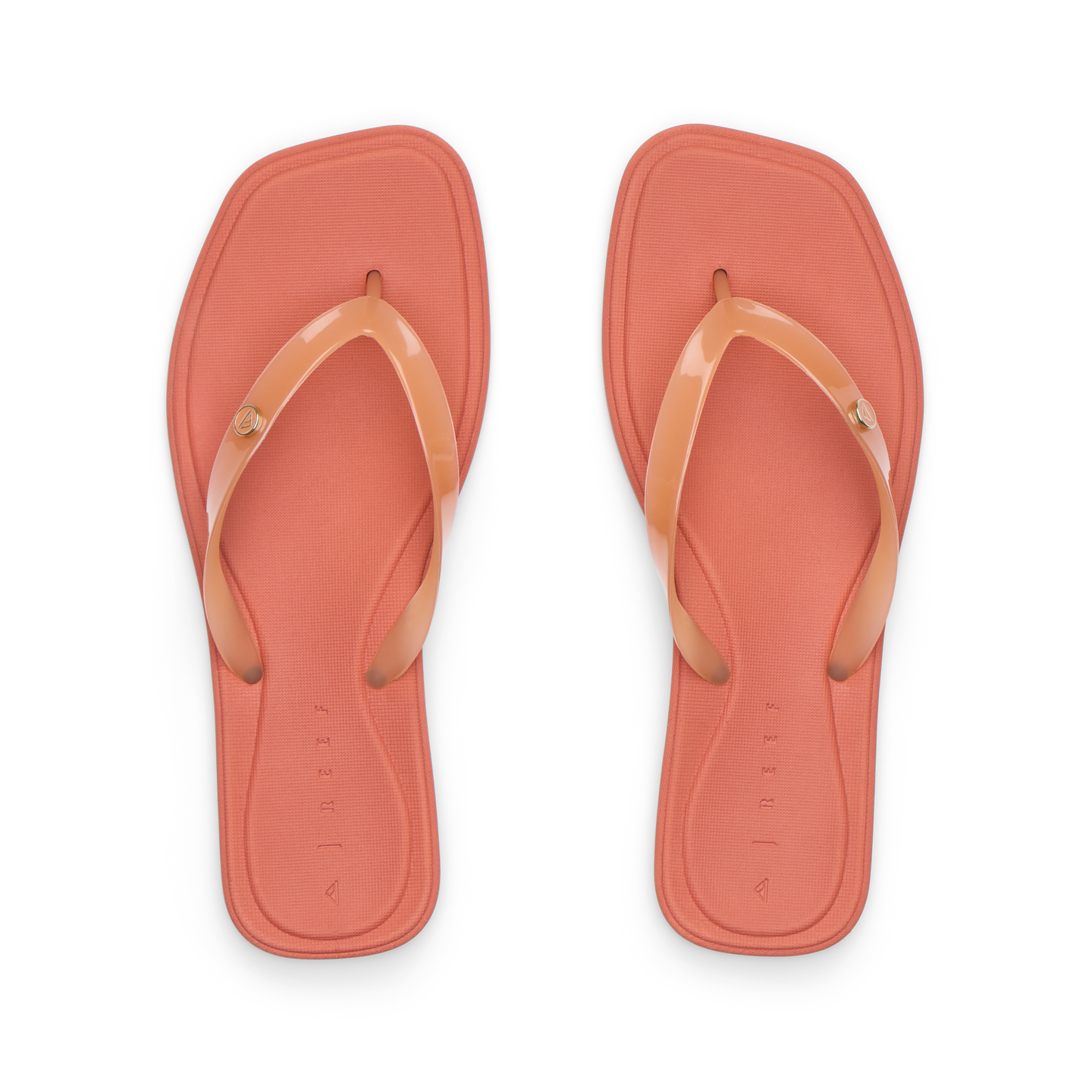 Solaye view 4