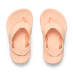 Little Santa Ana - Bellini - Top View