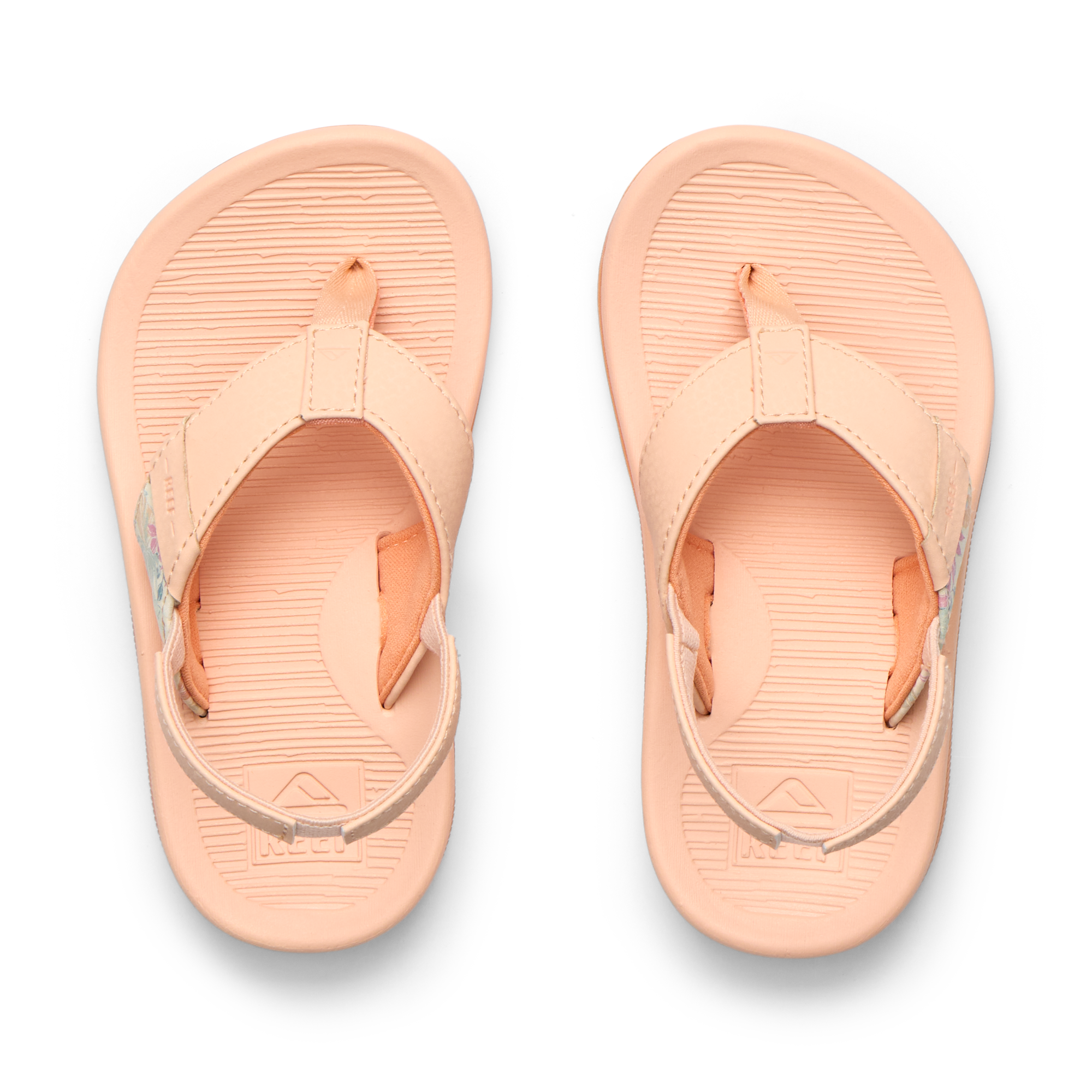 Little Santa Ana - Bellini - Top View