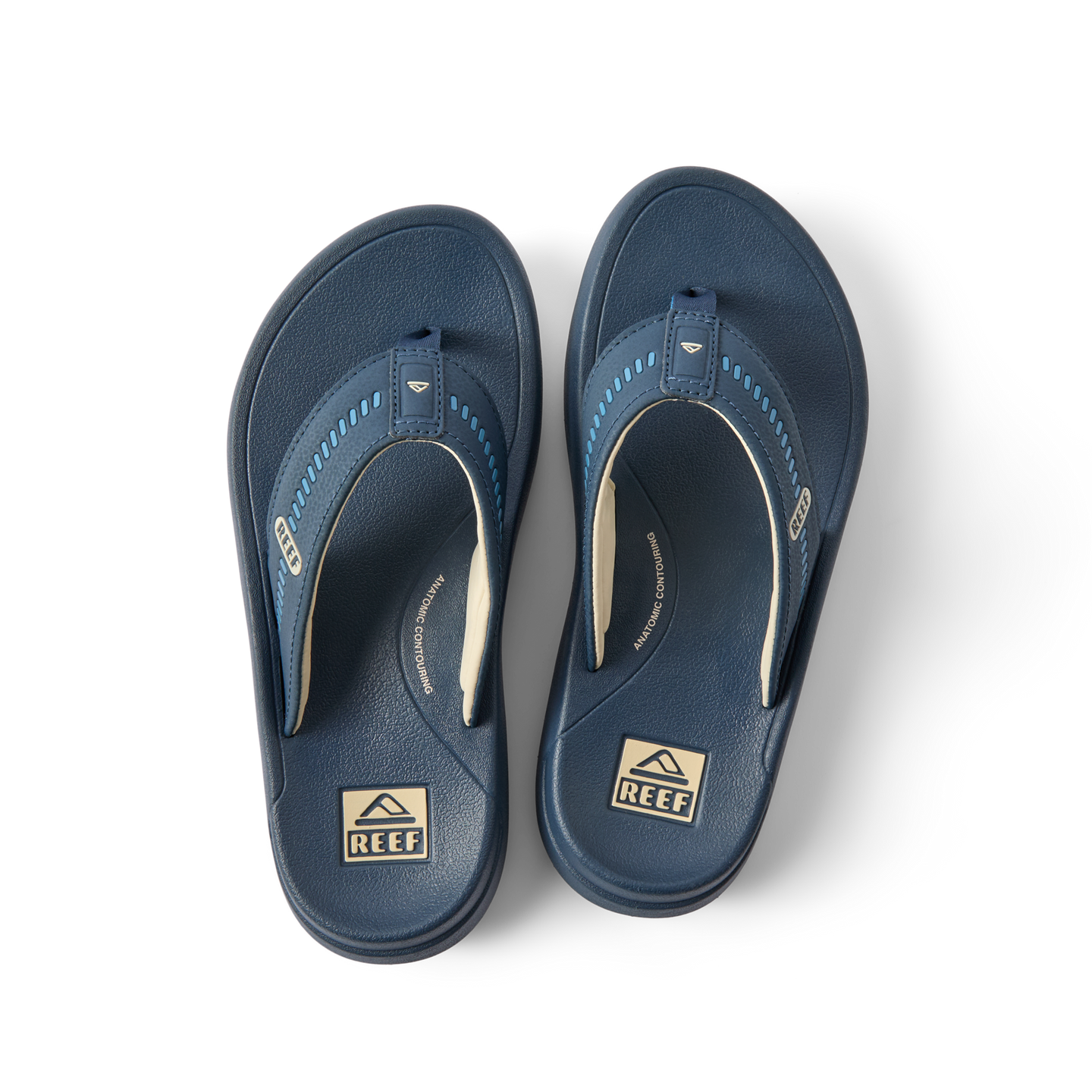 Cruiser – REEF