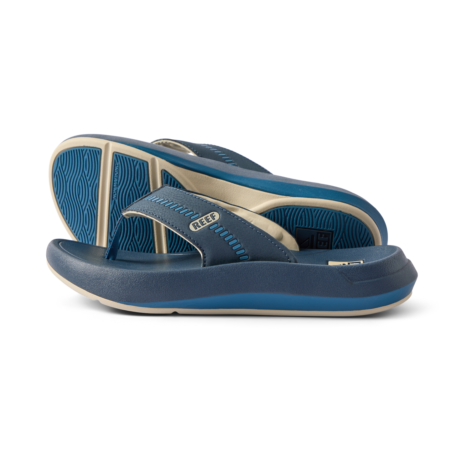 reef Cruiser – REEF