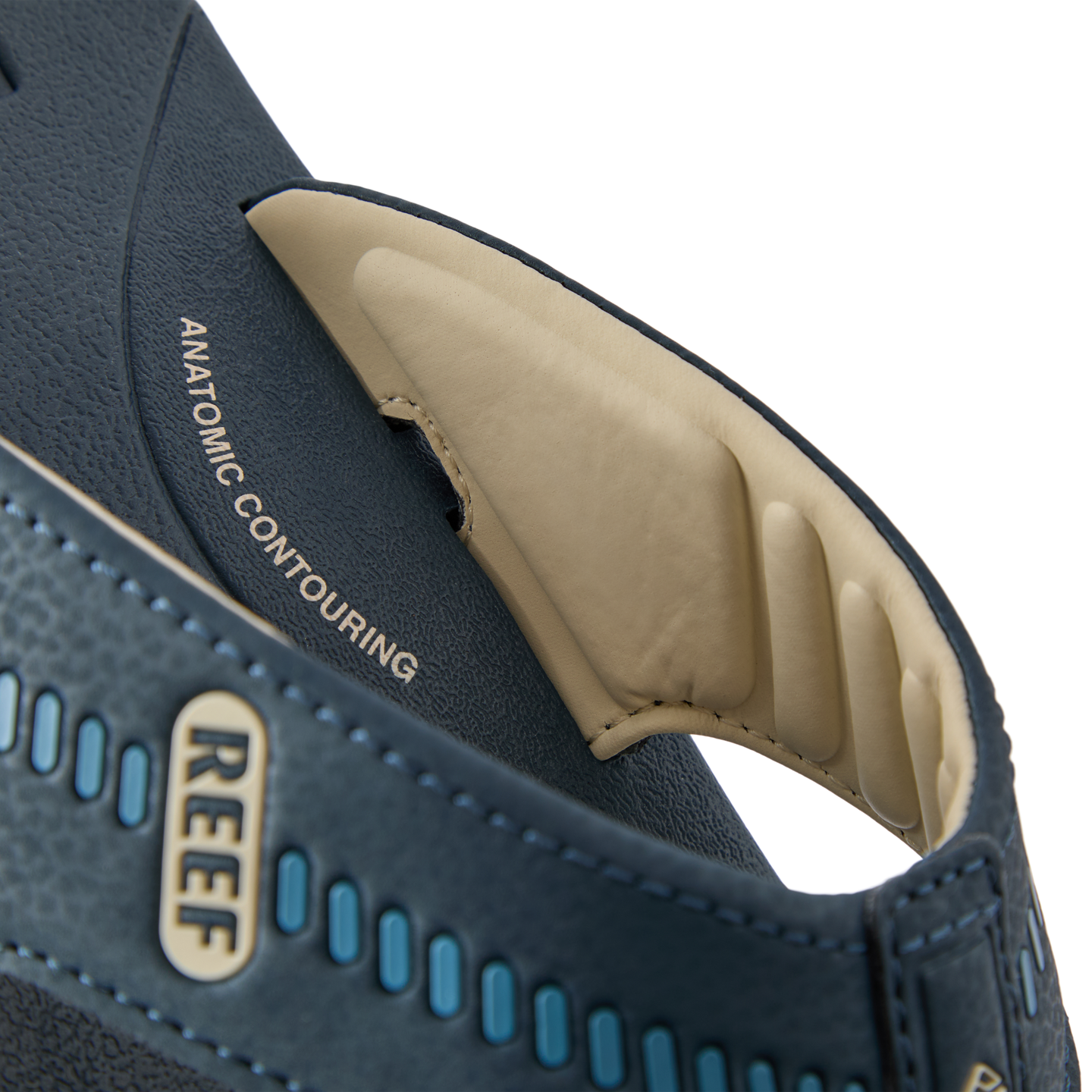 Cruiser – REEF