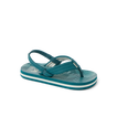 Little Ahi