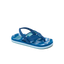 Little Ahi - Royal Sharks - Main View