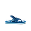 Little Ahi - Royal Sharks - Right Side View