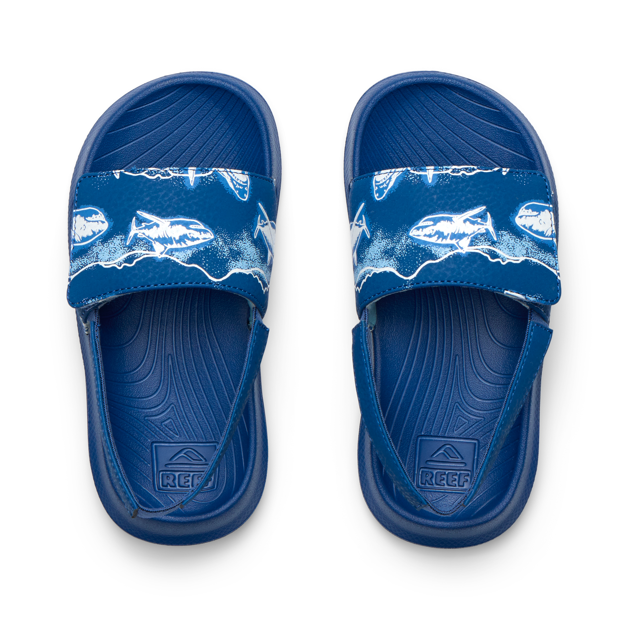 Little Salty Slide – REEF