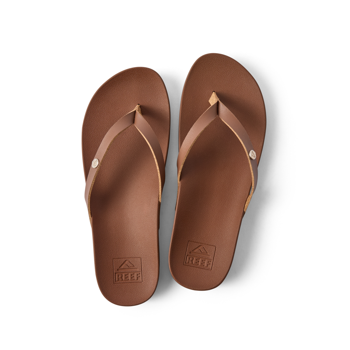 Vista Ivy – REEF Vista Ivy – REEF