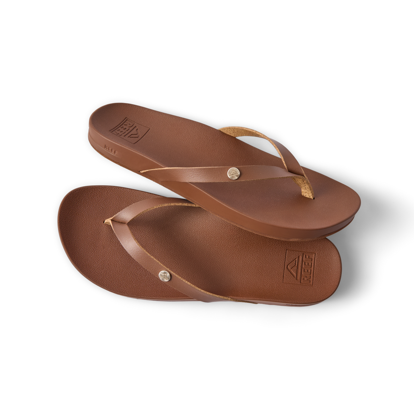 Vista Ivy – REEF