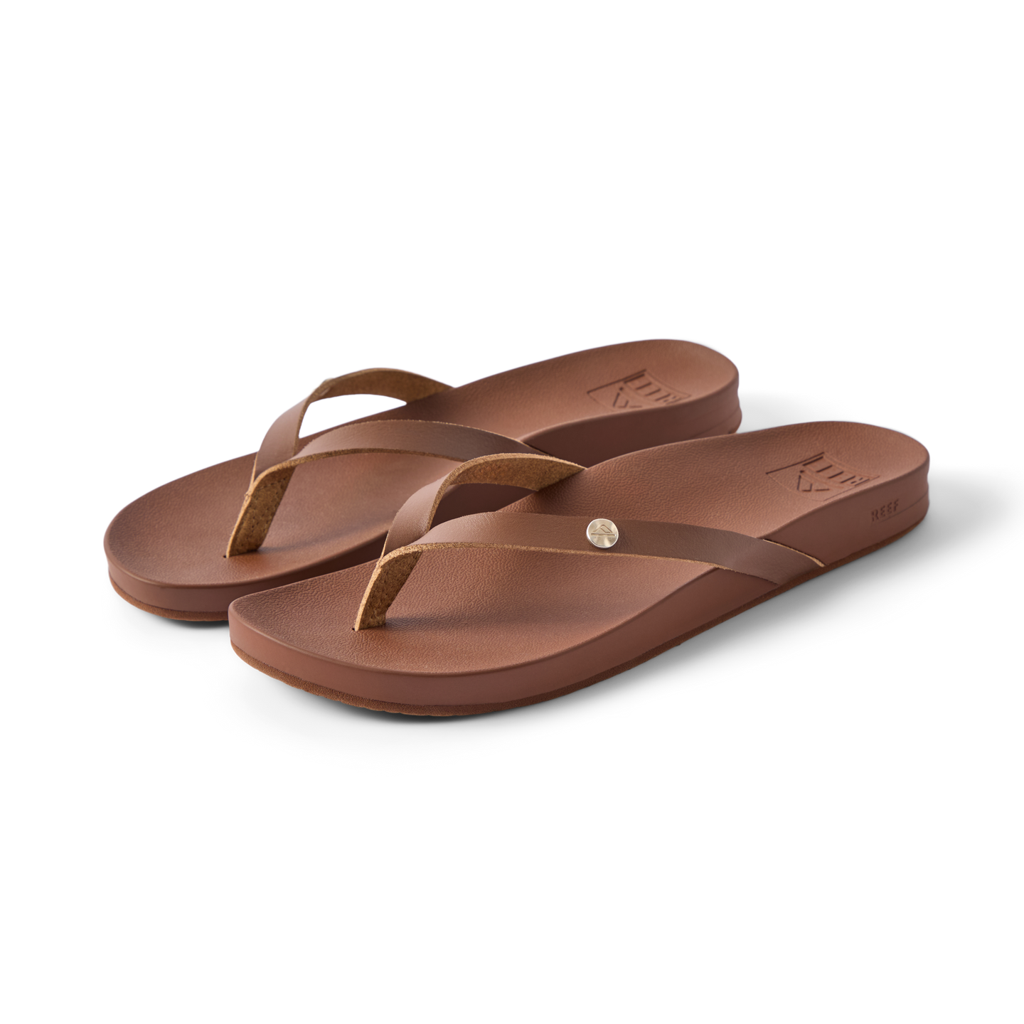 Vista Ivy – REEF Vista Ivy – REEF