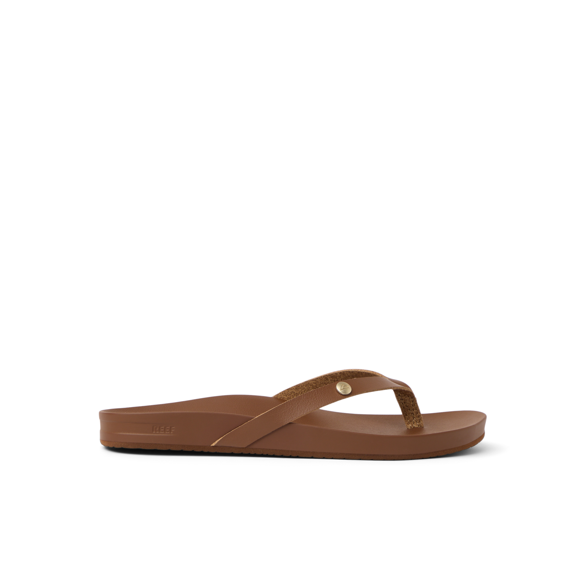 Vista Ivy – REEF