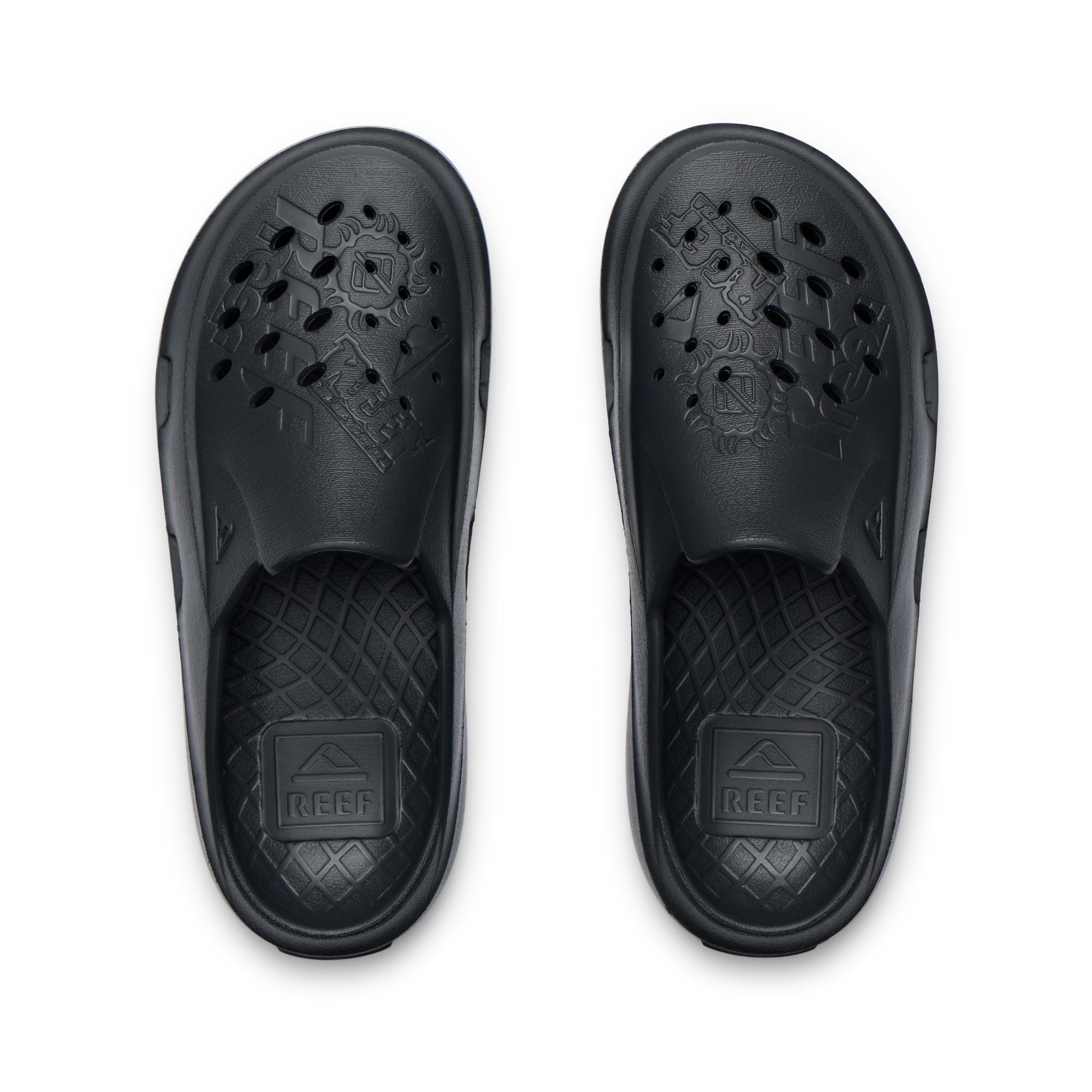 Glider – REEF