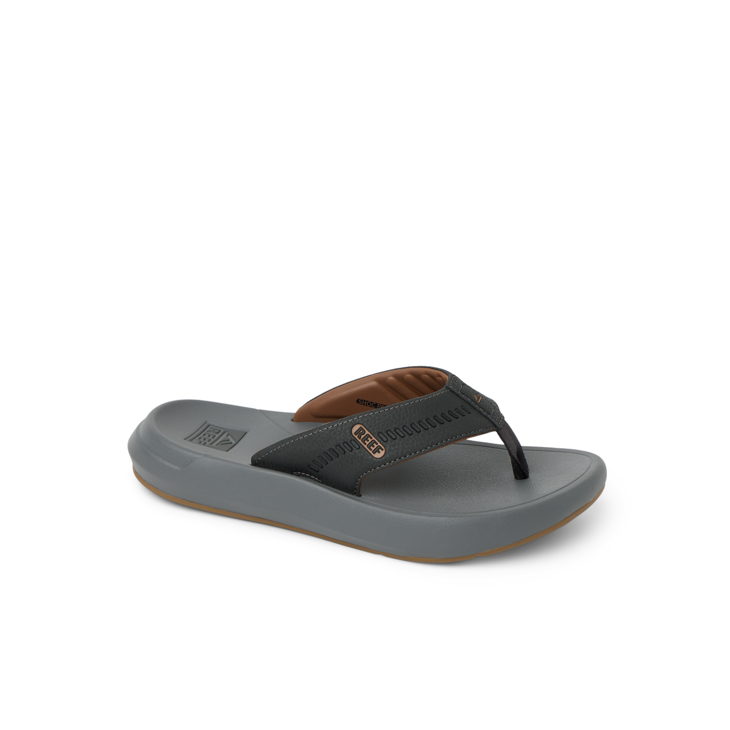 Cruiser view 2