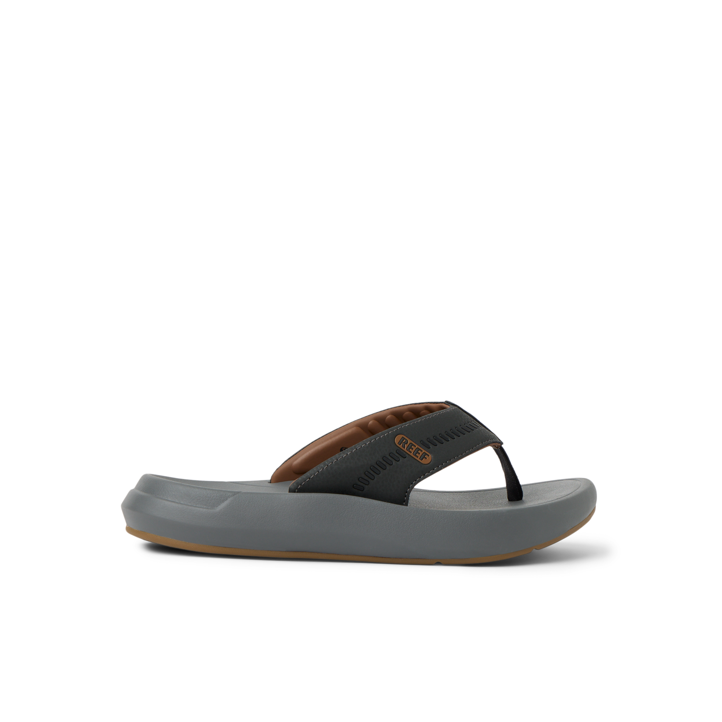 Cruiser – REEF