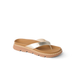 CJ9794
