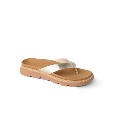 CJ9794
