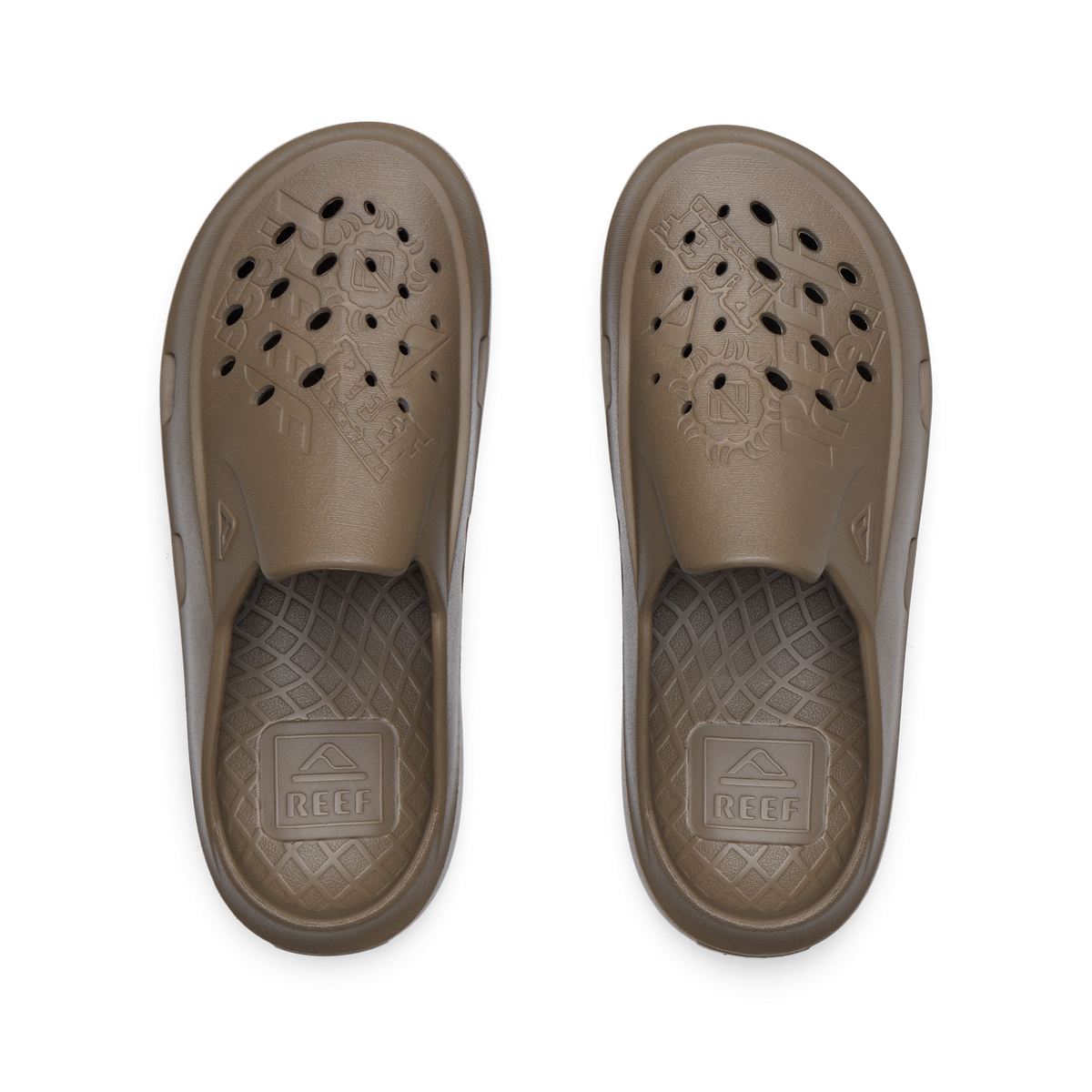 Glider – REEF