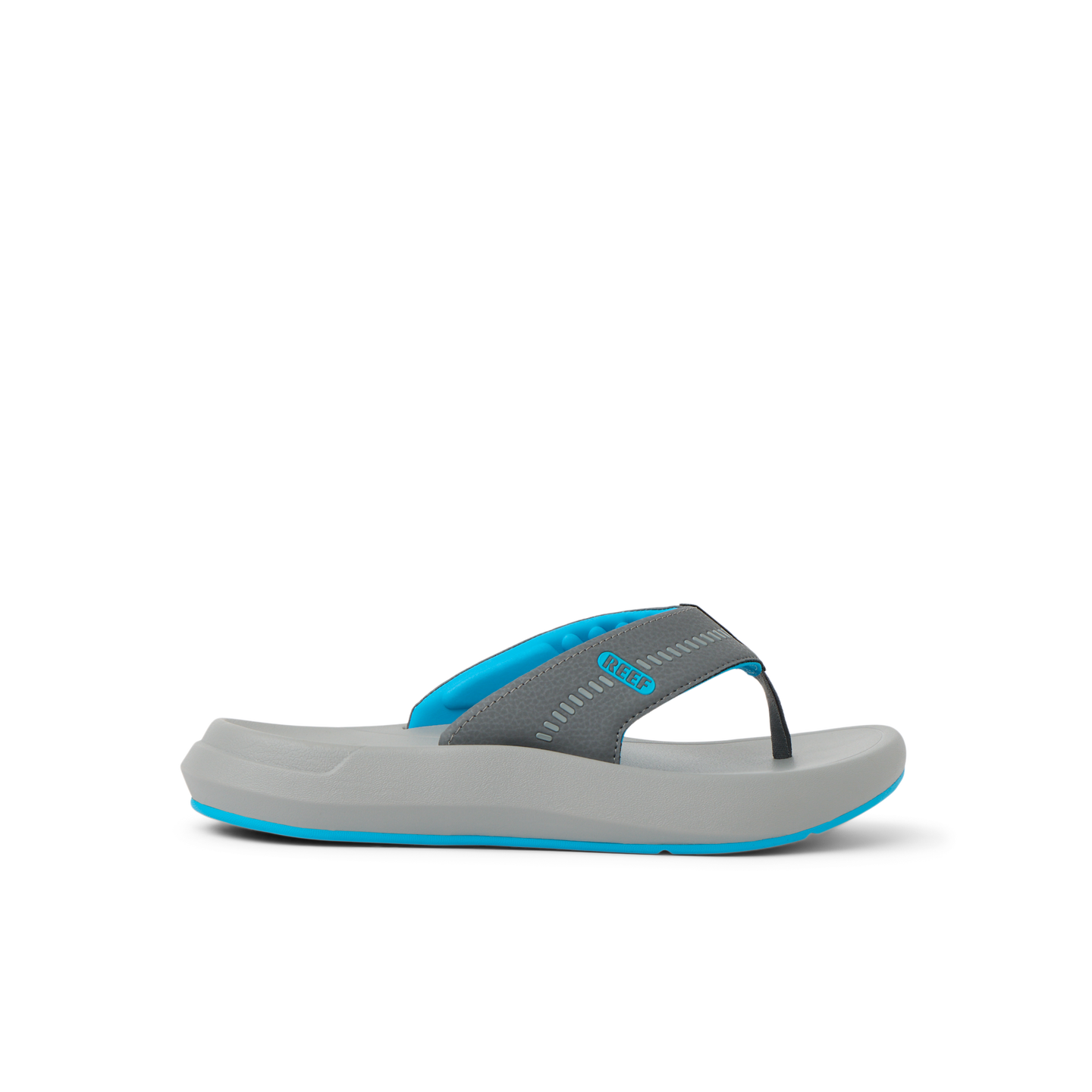 Cruiser – REEF