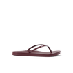 CK0209