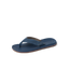 CK0241