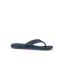 CK0241
