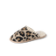 CK0264
