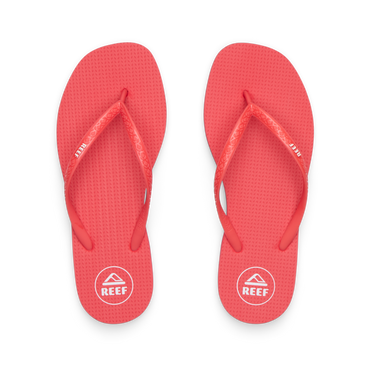 CK0313