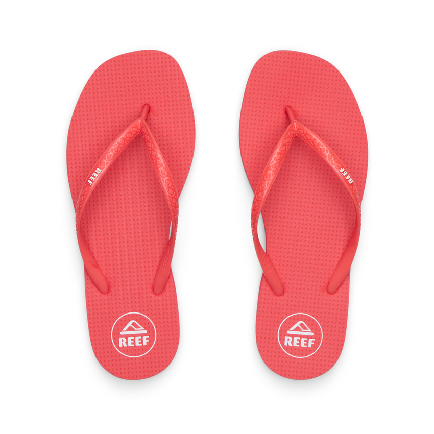 CK0313