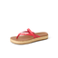 CK0319