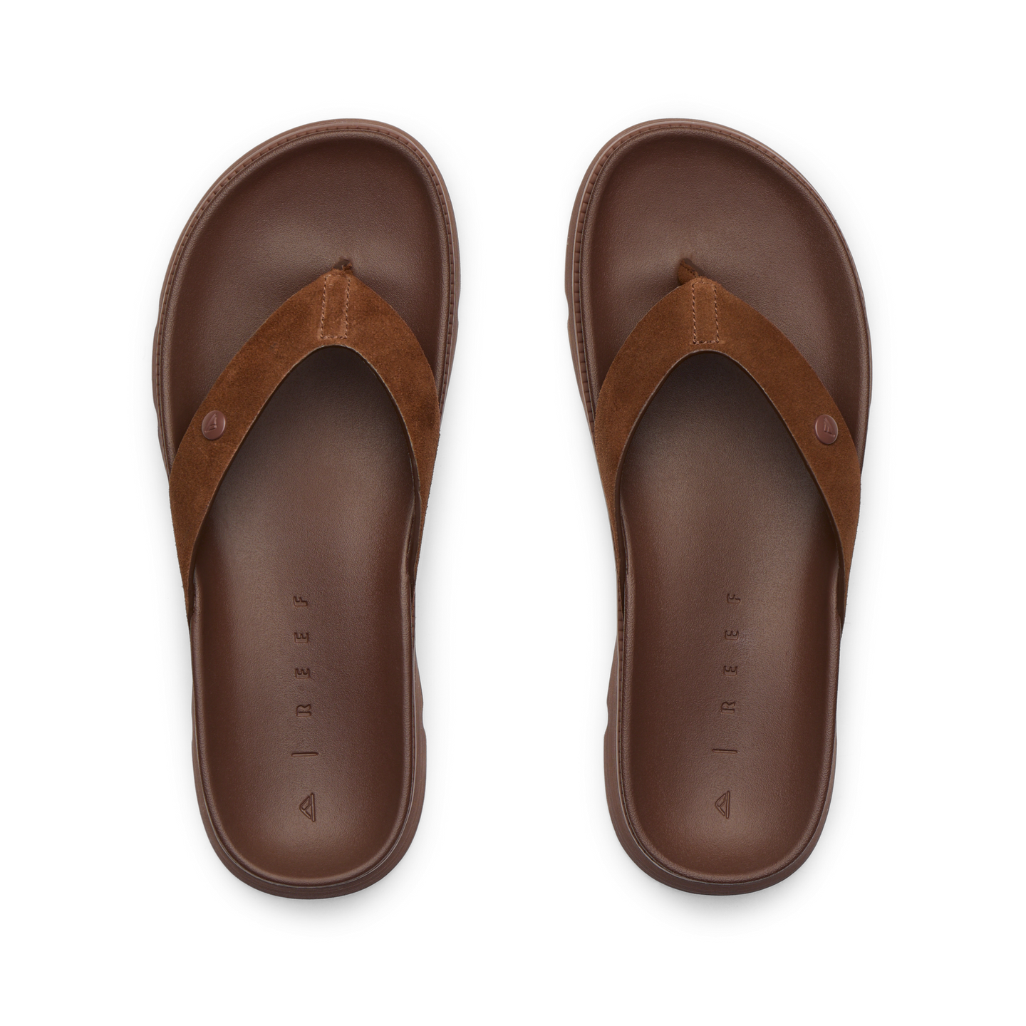 CK0365